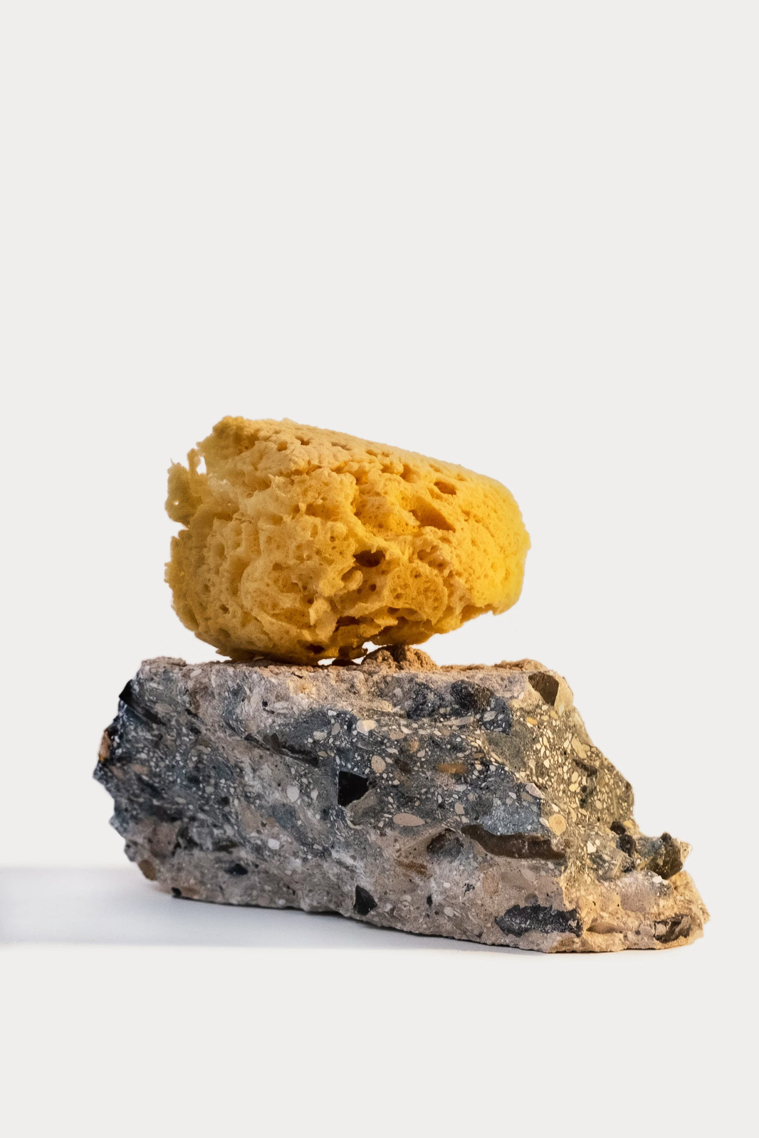 Bionotes Interview #1