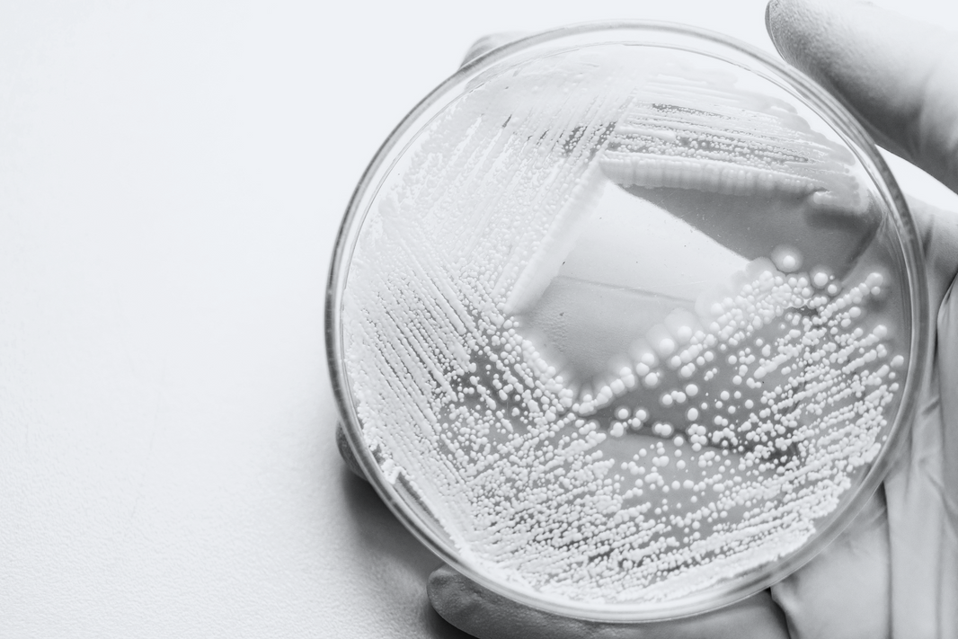 What are enzymes in skincare? 8 quick benefits