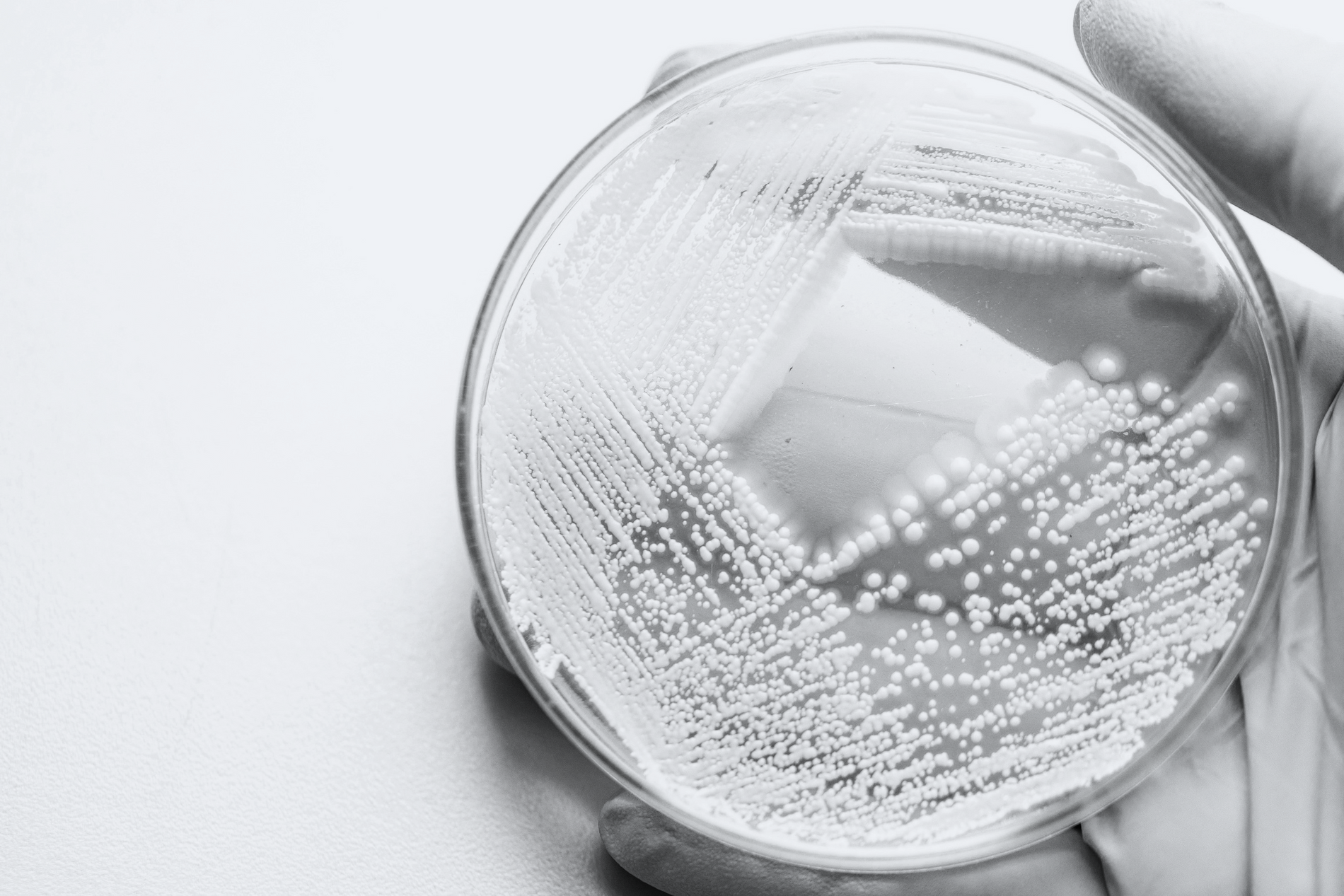 What are enzymes in skincare? 8 quick benefits