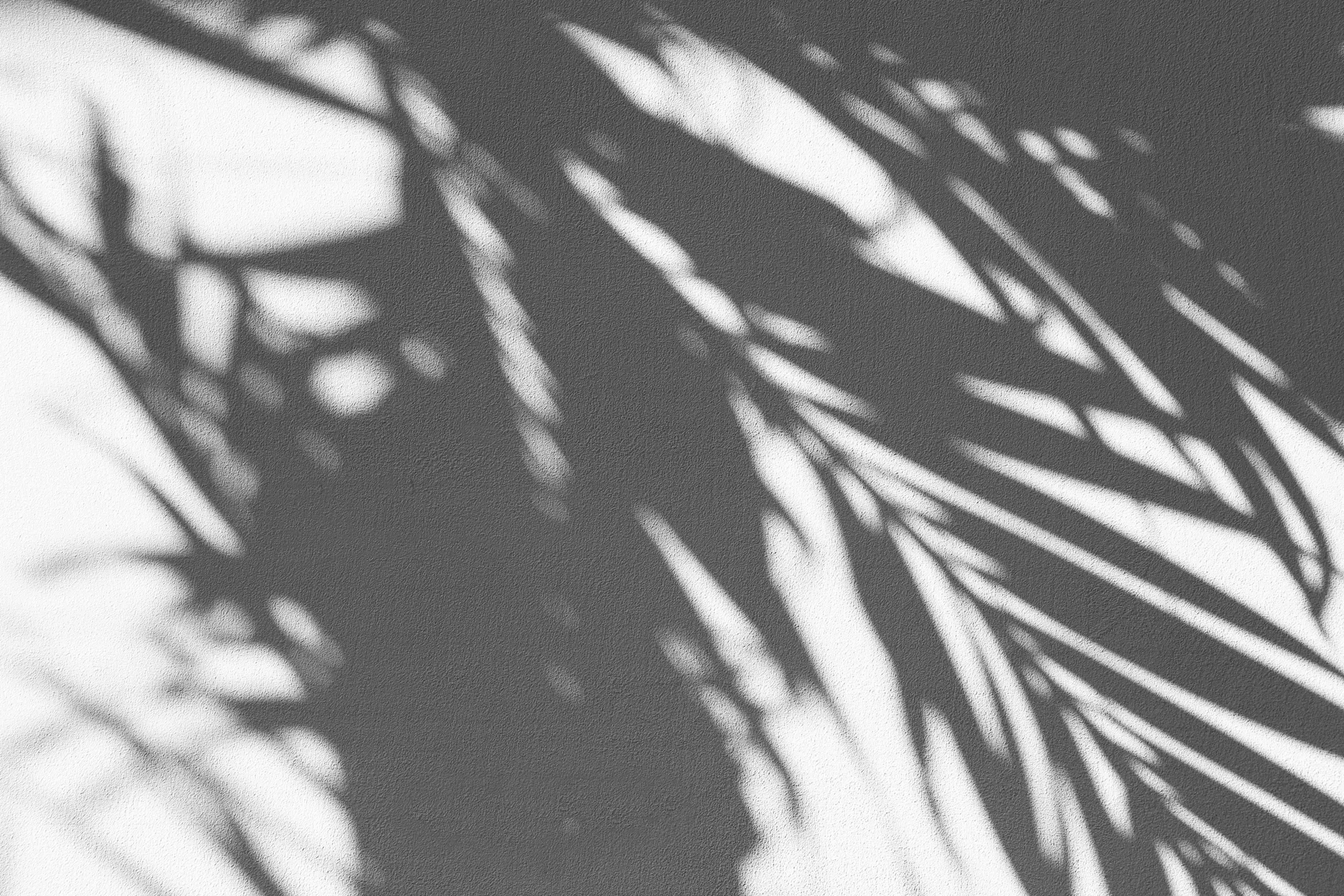 Questioning natural skincare: Stop using sunflower, avocado oils, aloe vera and other natural ingredients