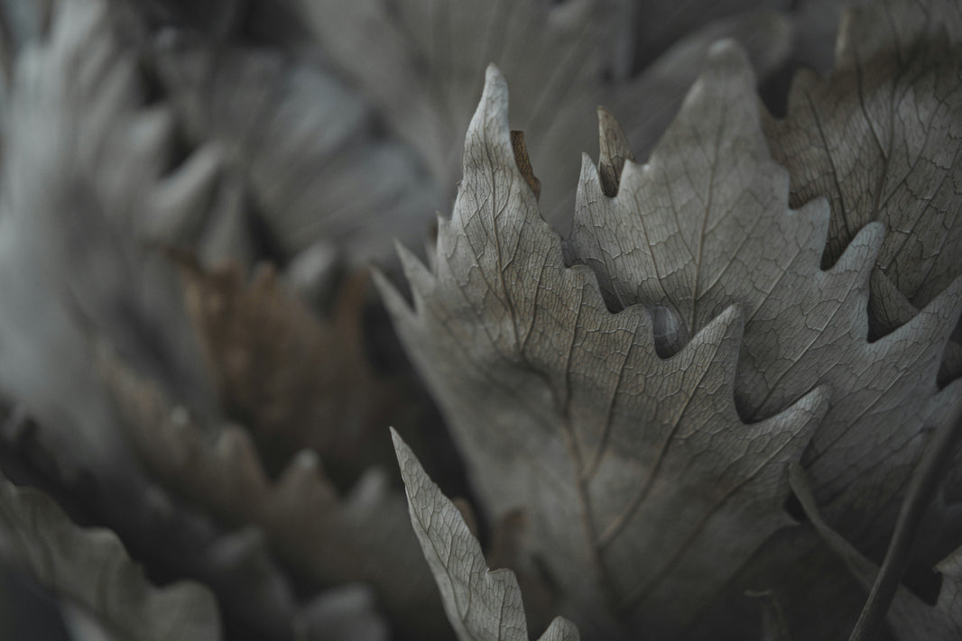 Autumn dryness and season shift: What your skin needs now
